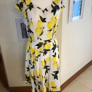 Lemon Print Mod 50s Style Dress
